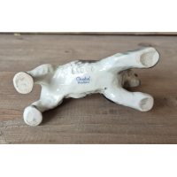 Cocker Spaniël Goebel